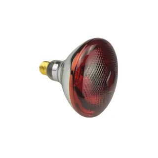 Infrared Heat Lamp Bulb 250W (RED) 8 PCS