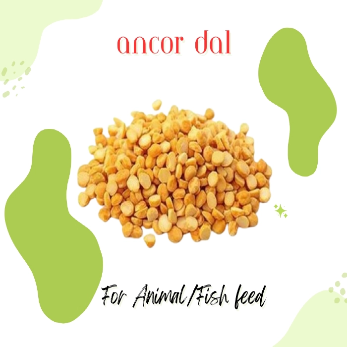 Ancor Dal (এ্যাংকর ডাল)/ Ton