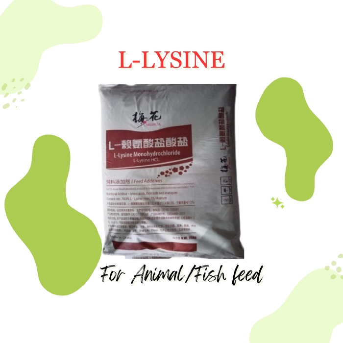 L-Lysine(এল-লাইসিন)/Ton