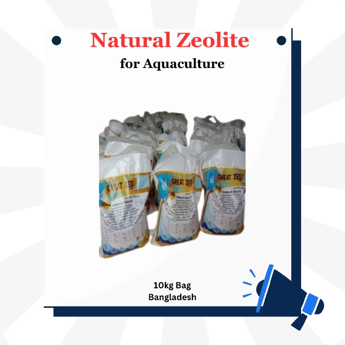 Natural Zeolite(জিওলাইট)/টন