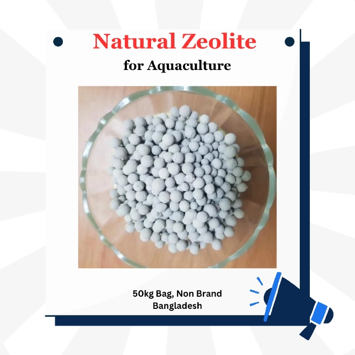 Natural Zeolite(জিওলাইট)/টন