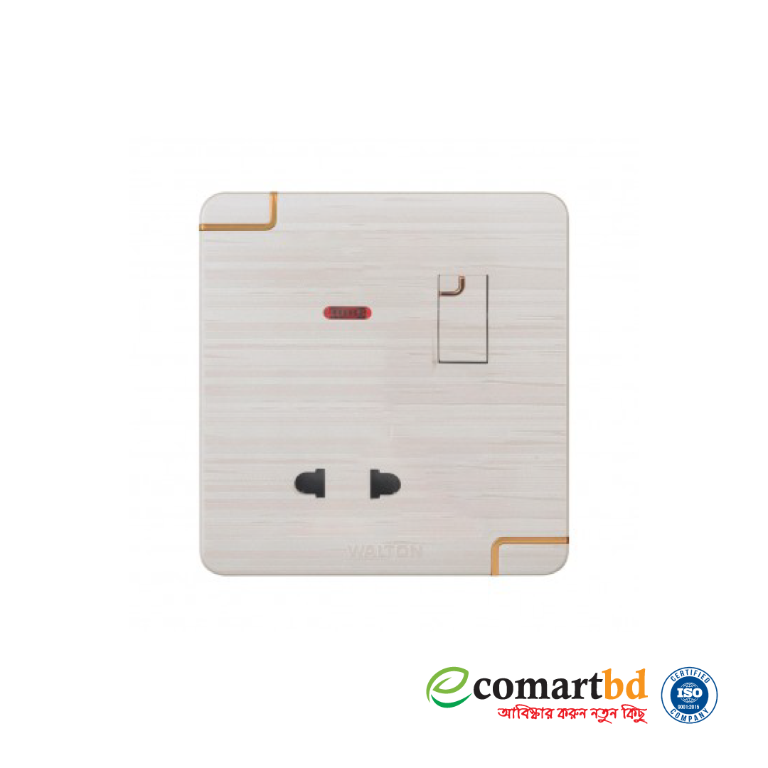 2 Pin Socket with Switch (Walton Gang Switch)