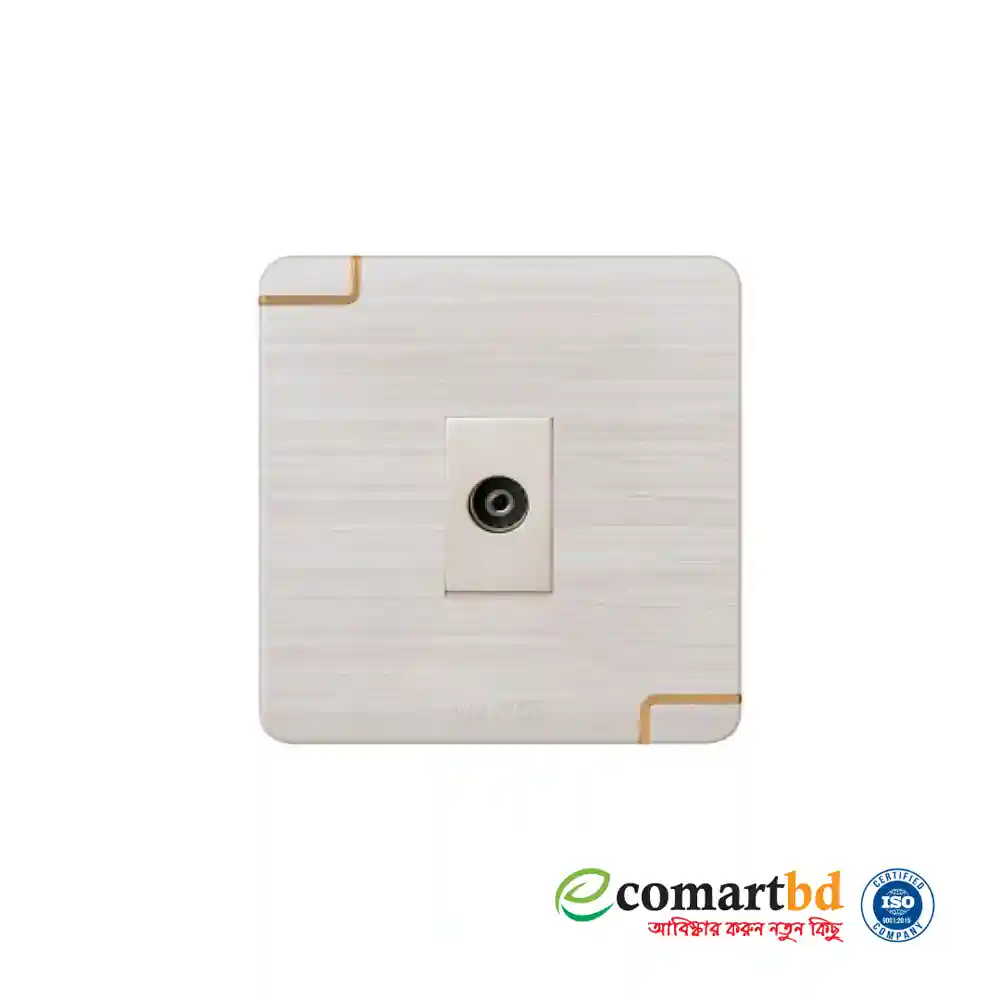 TV Socket (Walton Gang Switch)