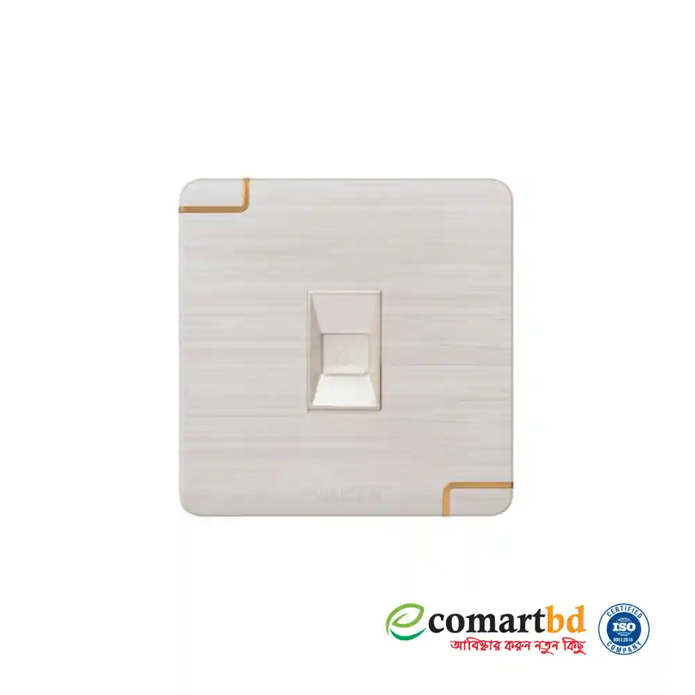 Data Socket (Walton Gang Switch)