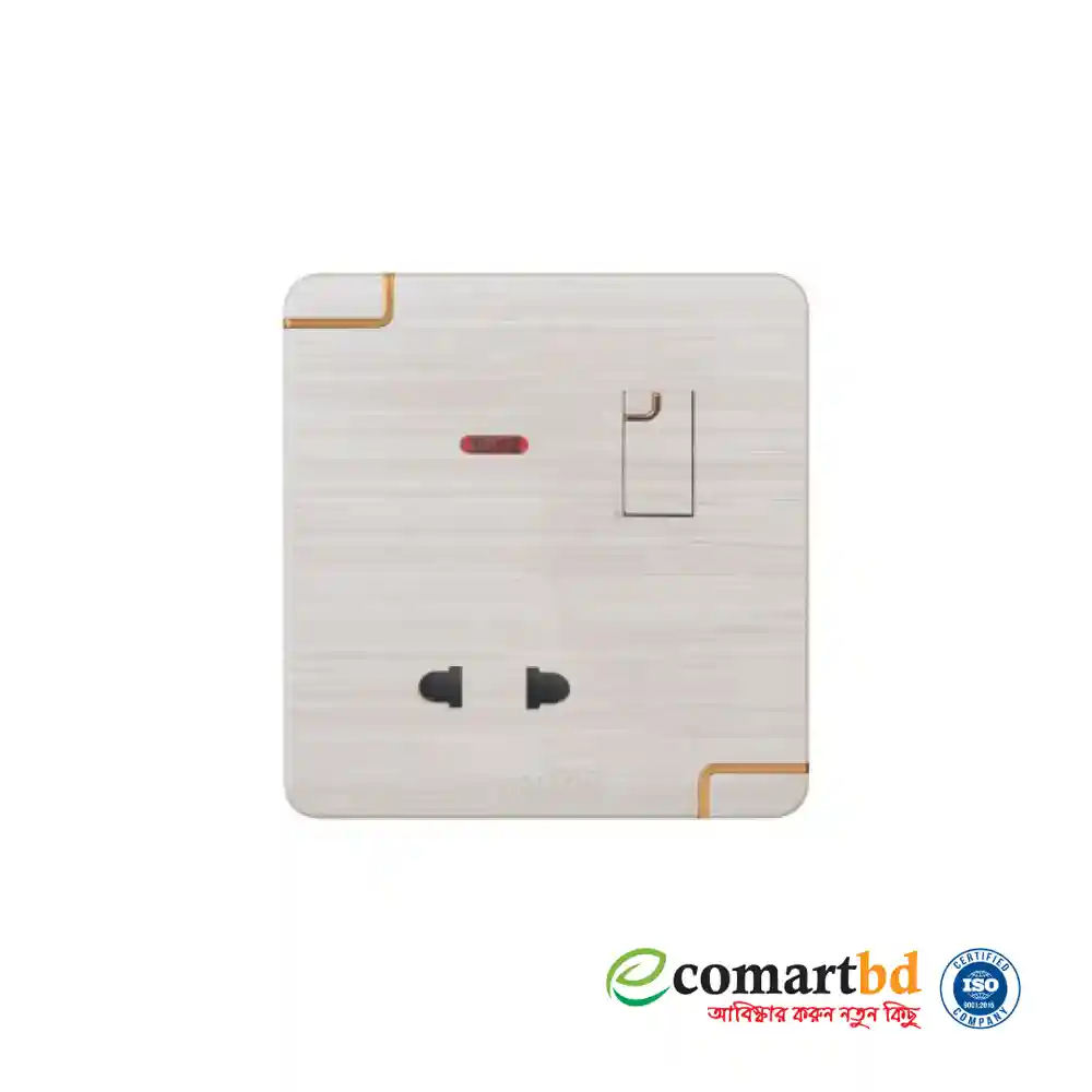 2 Pin Socket with Switch (Walton Gang Switch)