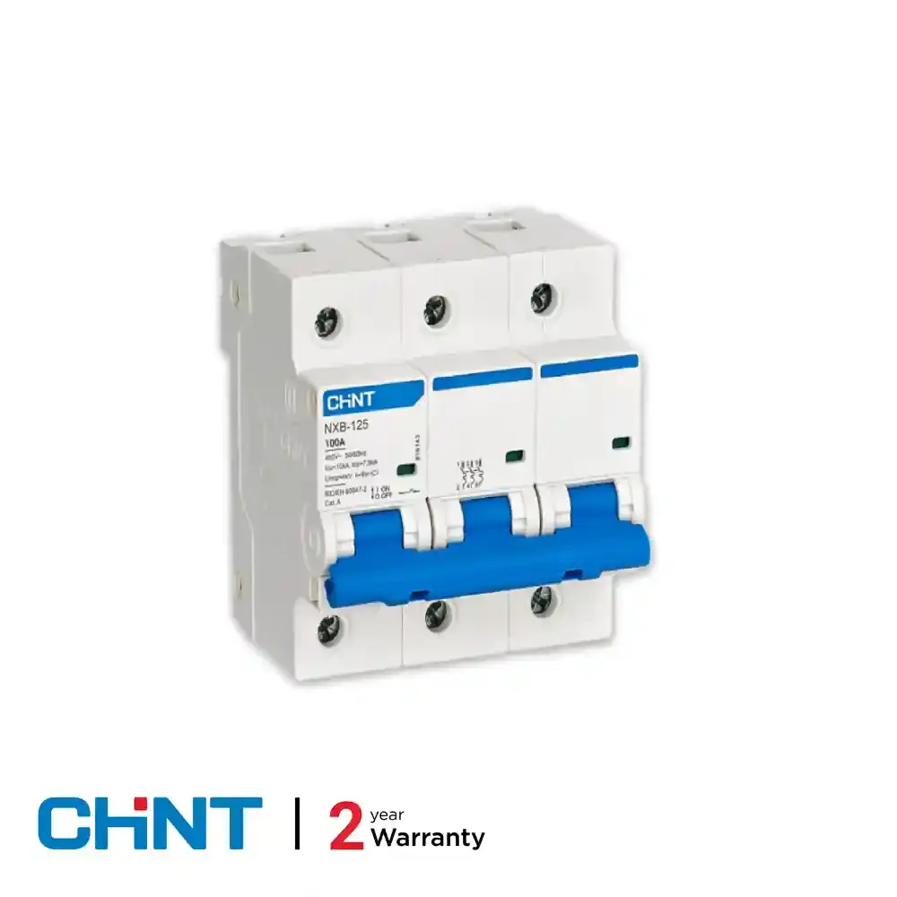 Chint NXB-100 Amp MCB DP