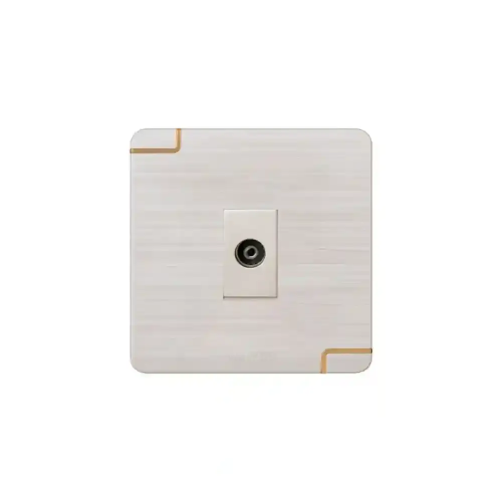 TV Socket (Walton Gang Switch)